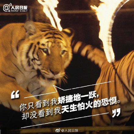 光明网：它们不需要喝彩，它们只需要关爱