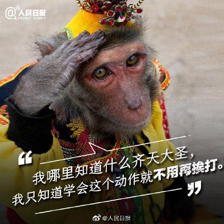 光明网：它们不需要喝彩，它们只需要关爱