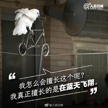 光明网：它们不需要喝彩，它们只需要关爱