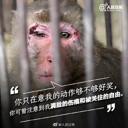 光明网：它们不需要喝彩，它们只需要关爱