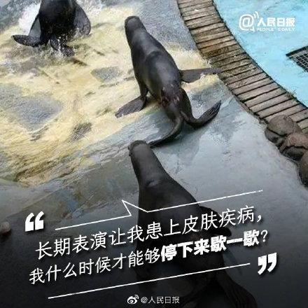 光明网：它们不需要喝彩，它们只需要关爱