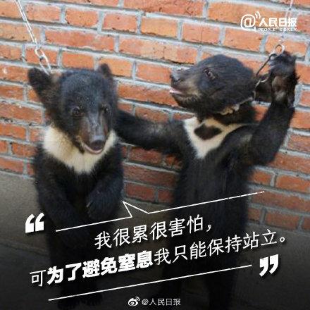 光明网：它们不需要喝彩，它们只需要关爱