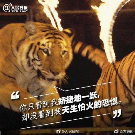 光明网@你的快乐可能是它们的噩梦