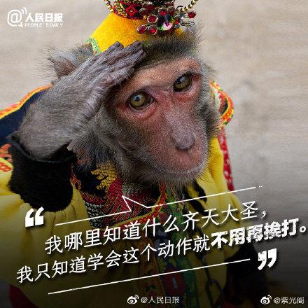 光明网@你的快乐可能是它们的噩梦