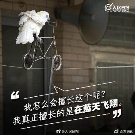 光明网@你的快乐可能是它们的噩梦