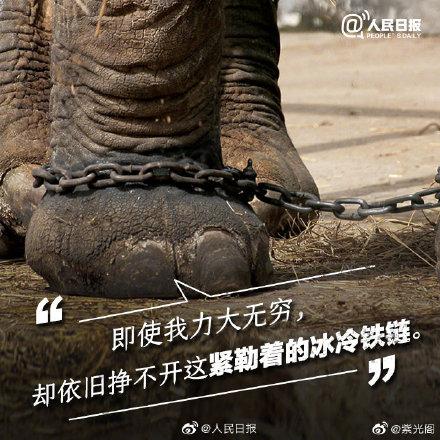 光明网@你的快乐可能是它们的噩梦