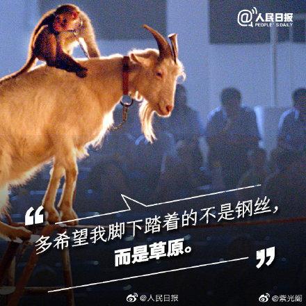 光明网@你的快乐可能是它们的噩梦