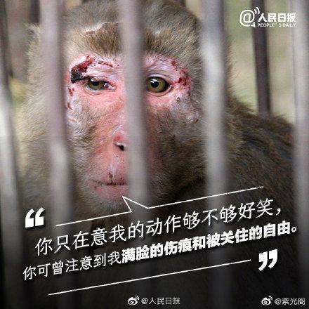 光明网@你的快乐可能是它们的噩梦