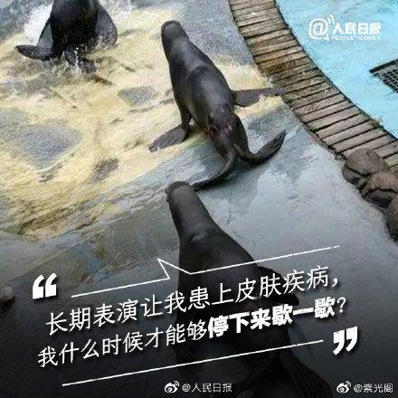 光明网@你的快乐可能是它们的噩梦