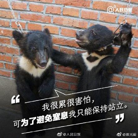 光明网@你的快乐可能是它们的噩梦