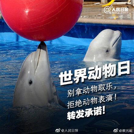 光明网@你的快乐可能是它们的噩梦