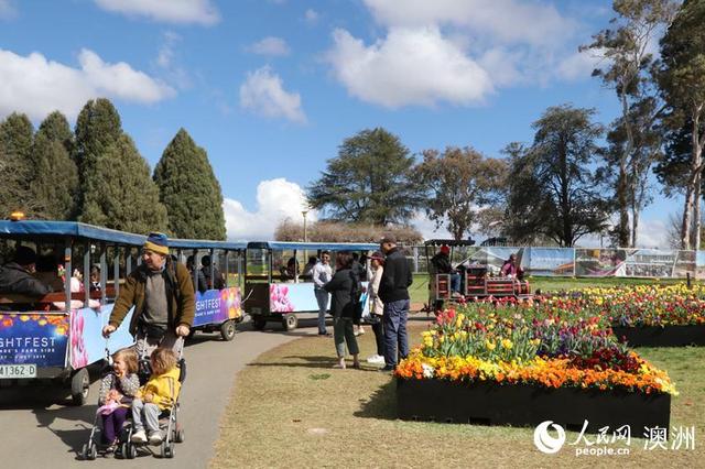 人民网■澳大利亚堪培拉举行南半球最大花卉节