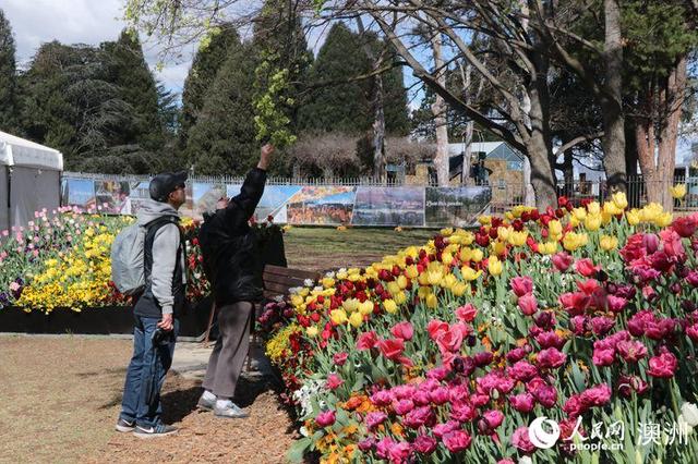人民网■澳大利亚堪培拉举行南半球最大花卉节