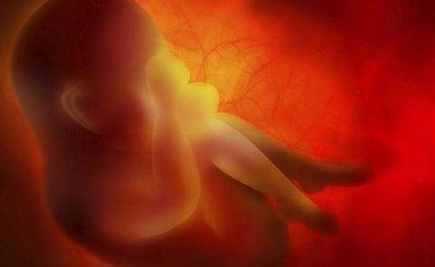 「光明网」孕期反应大小，或许和胎儿发育情况有关系