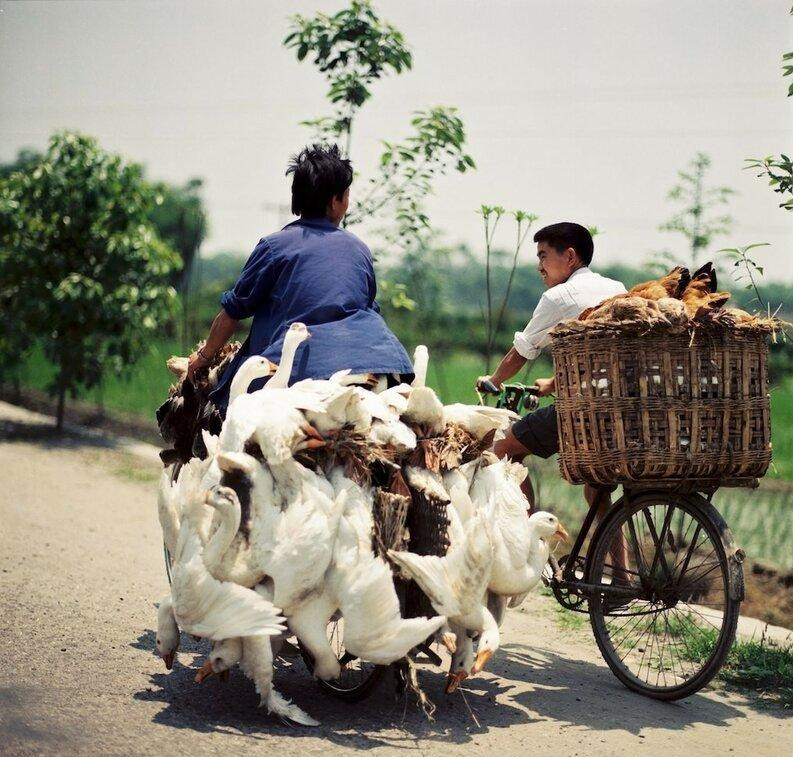 [文汇报]1987年德国摄影师拍摄的中国老照片，风景清俗秀丽，人们勤劳朴实