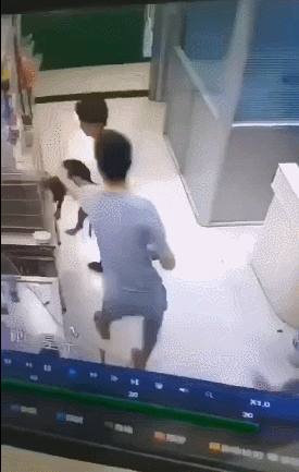 「光明网」父亲嫌狗狗治病花钱，竟当着女儿面对它下毒手……