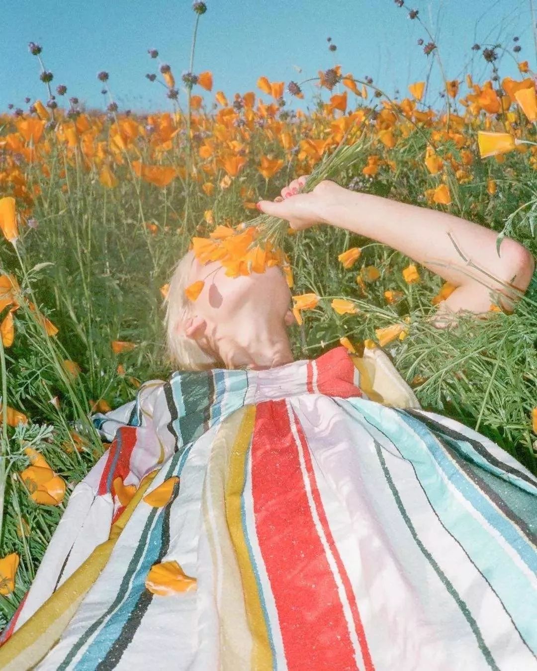 「政商内参」20句话让你明白旅行的意义。能走多远，就走多远。