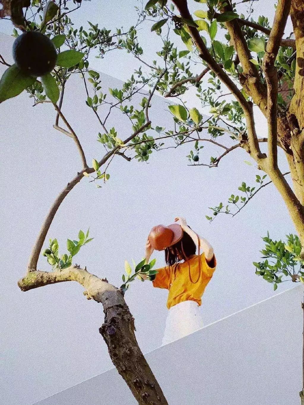 「政商内参」20句话让你明白旅行的意义。能走多远，就走多远。