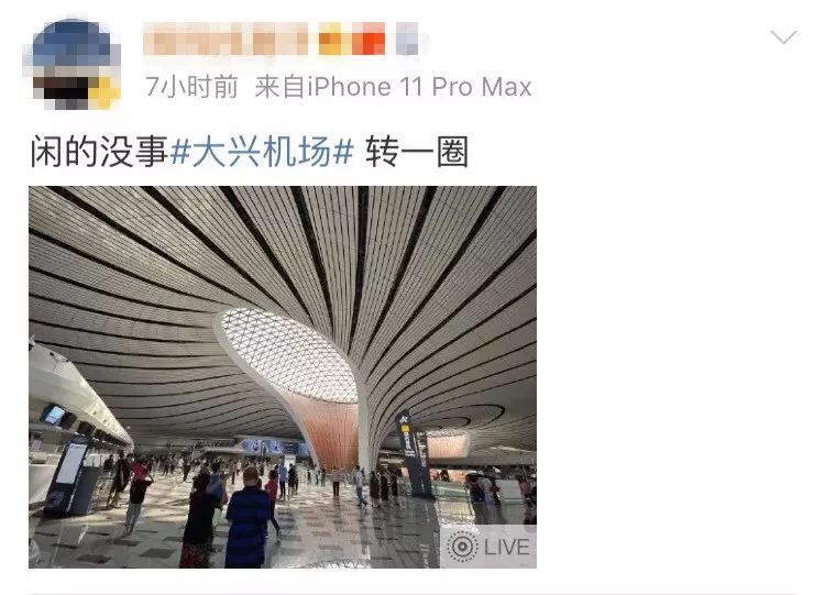 齐鲁网@北京新机场，晋升“人人人人我人人人人”景点