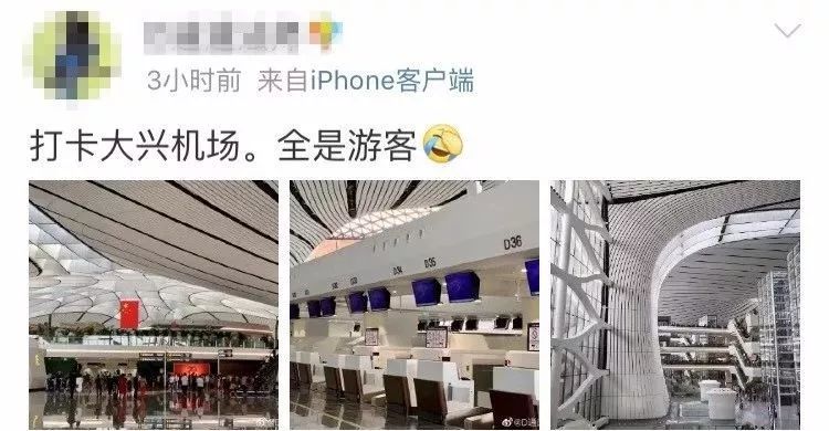 齐鲁网@北京新机场，晋升“人人人人我人人人人”景点