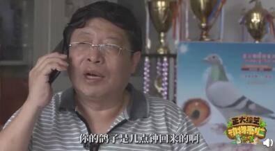 观察者网■它们上天后第一愿望就是回家，最快10分钟就到了