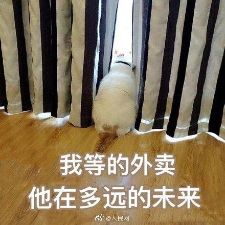 「光明网」假期你点外卖了吗？国庆外卖销量前三名美食：生煎、热干面、肉夹馍