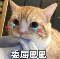 #安徽日报#叮！你的国庆假期已余额不足