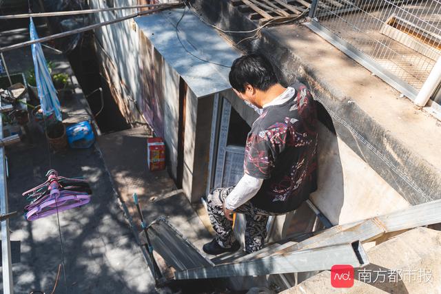 南方都市报■国庆阅兵7万只借来的鸽子都回家了吗？我们找主人聊了聊