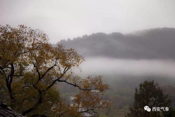 【光明网】一场秋雨一场寒 你感觉到了吗