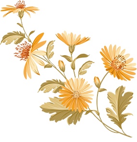 「央视一套」夜话丨年年岁岁又重阳，总有思念留暗香