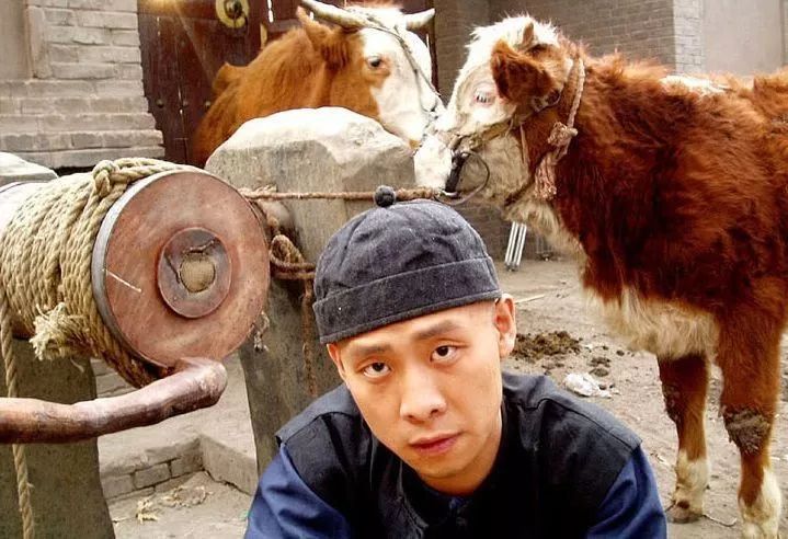 拍摄《乔家大院》时,导演胡玫摸着他的脑袋,说了一句让张译终身