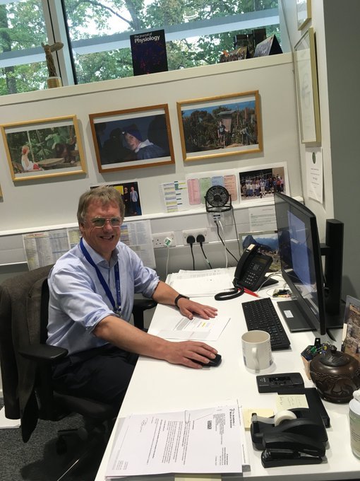 澎湃新闻■涨知识｜斩获诺奖的氧感知机制：贫血、癌症、胎儿都和它有关