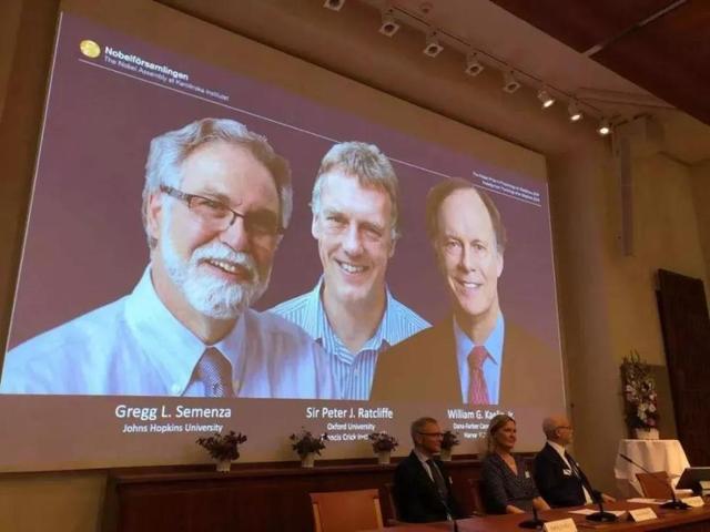 「环球网」权威解读来了！为什么他们获得了2019诺贝尔生理学或医学奖？