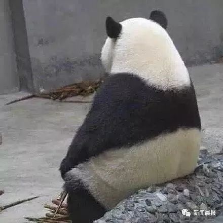 【新闻晨报】上班第一天，网友感叹：能抚慰心灵的唯有父母塞满的后备箱…