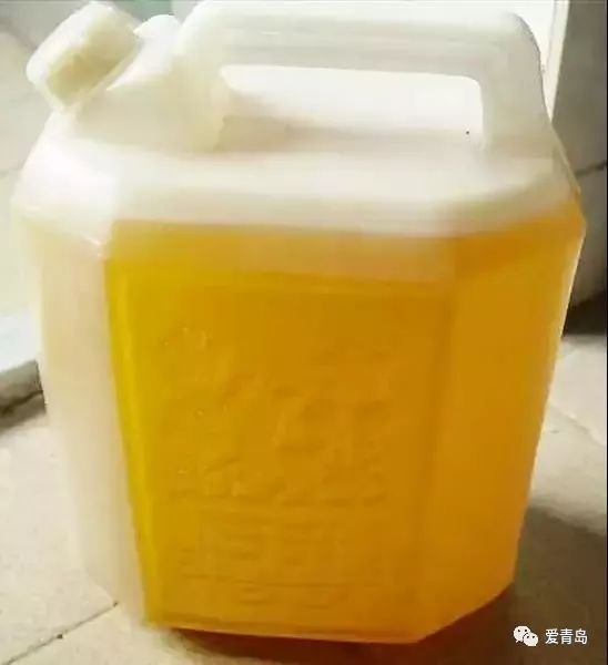 【新闻晨报】上班第一天，网友感叹：能抚慰心灵的唯有父母塞满的后备箱…