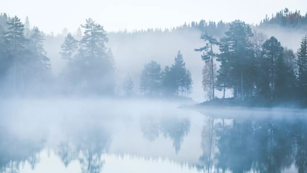 央视一套：夜话丨寒露至，秋意浓