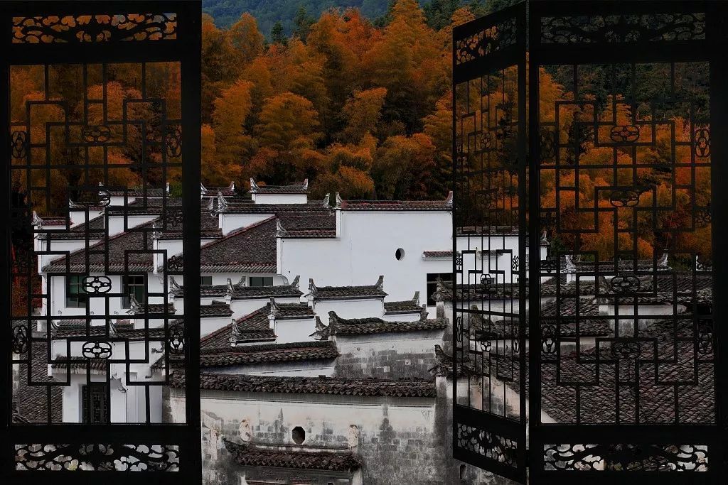 央视一套：夜话丨寒露至，秋意浓