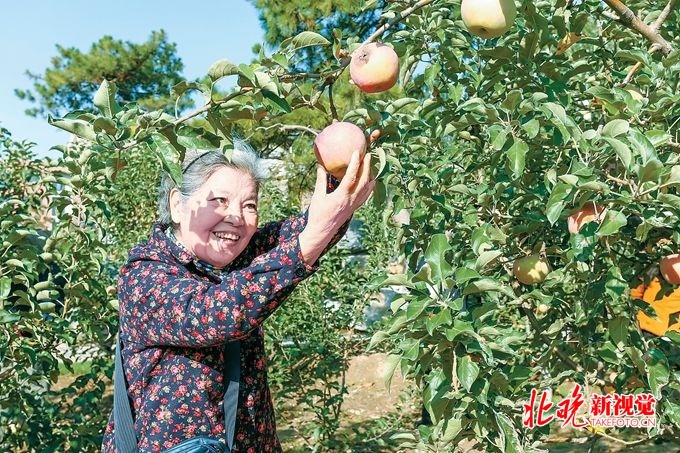 「北京晚报」重阳节惊喜大礼！北京这个地方的老人们收获一座农庄