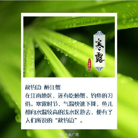 光明网■今日寒露，秋深露重勿忘加衣