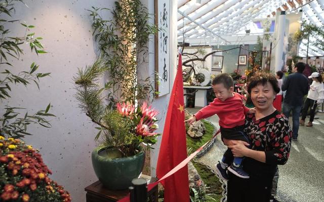 #新京报#这8个细节不知道，别说你去过世园会