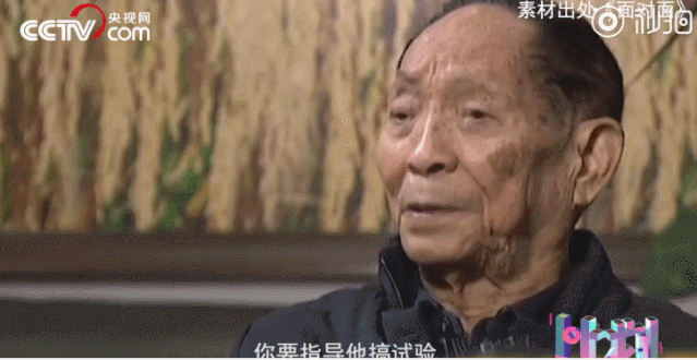 北京晚报@绝对是90后资深帅哥！这是你想不到的袁隆（梗）平（王）爷