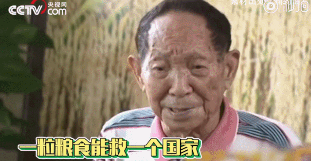 北京晚报@绝对是90后资深帅哥！这是你想不到的袁隆（梗）平（王）爷