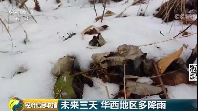 #中国日报网#新一轮冷空气马上到货！怎样穿衣才不尴尬