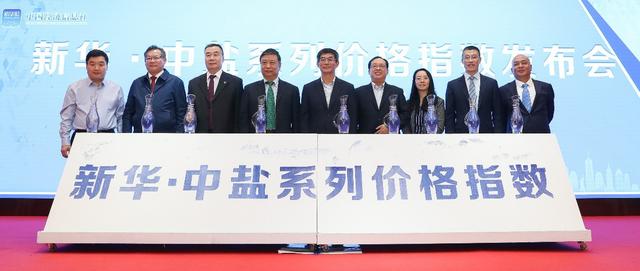中国日报网：盐价新坐标：新华·中盐系列价格指数在京发布