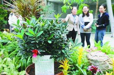中国经济网@50余种世园会珍植首次北京安家