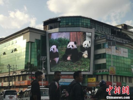 [中国新闻网]尼泊尔加德满都街头现中国元素