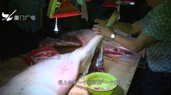 【光明网】凌晨突击！厦门查获1560斤私宰肉，这种肉千万别买……