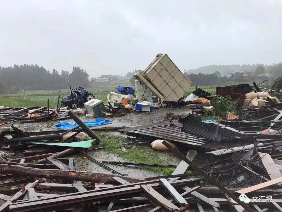 「文汇报」已致5人遇难，台风“海贝思”横扫日本，引发龙卷风、地震、火山喷发等灾害