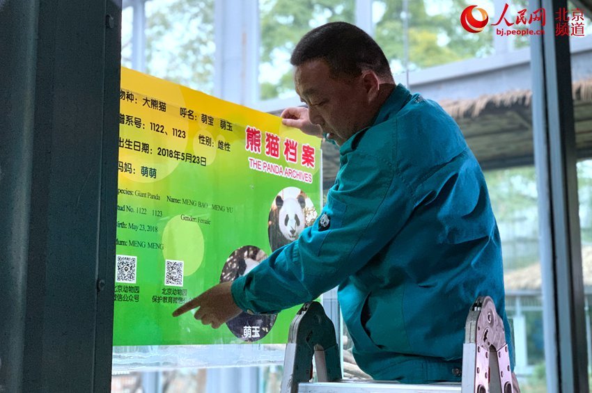 「人民网-北京频道」北京动物园添双胞胎姐妹花 大熊猫“萌宝”“萌玉”亮相