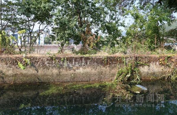 「光明网」漆黑的夜里，他毅然跳下5米深的水渠救人